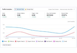 plastic surgeon website seo growth
